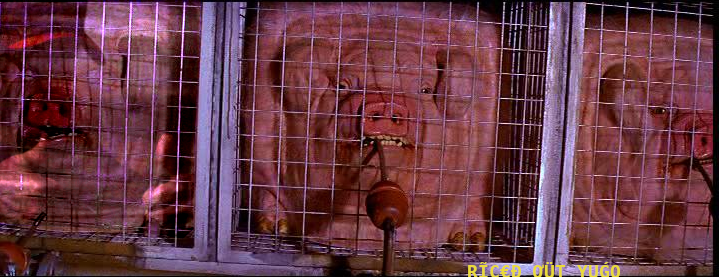Cubical Pig