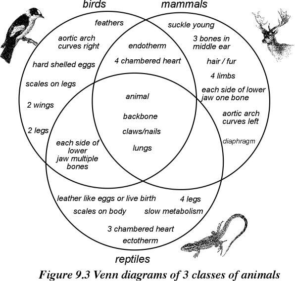 eVENNt DIAGRAM